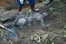 Découverte d’un charnier à Niono : L’état-major de l’armée malienne se porte totalement en faux contre ces allégations