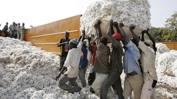 Premier producteur en Afrique à l’issue de la Campagne agricole 2021/2022 : Le Mali félicité par le Programme Régional de Production Intégrée de Coton